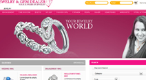 web portal development 