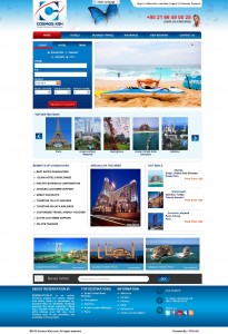 Travel Software Development Company